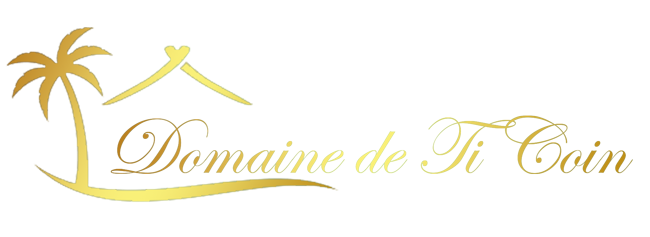 Logo Domaine de Ti Coin dore